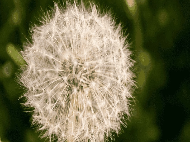 试管用什么叶酸好加拿大试管宝宝吉林ps试管价格
