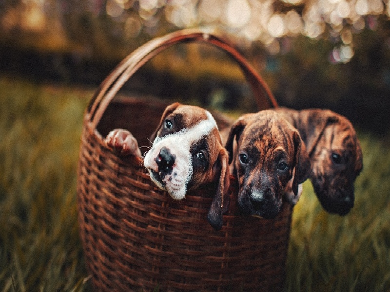 盛京医院试管筛选试管摇板仪做完试管能吃木耳吗